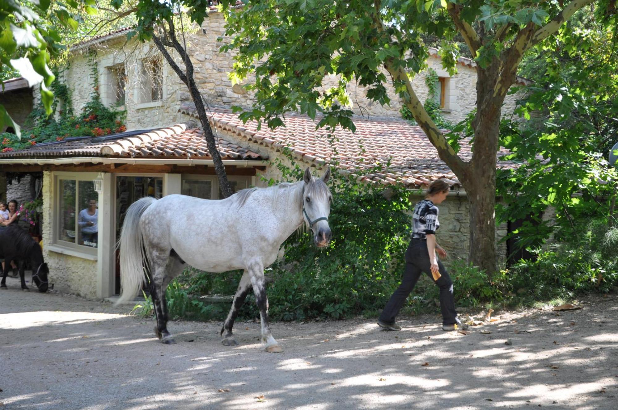 מלון Sigonce Les Maisons De Chante Oiseau מראה חיצוני תמונה